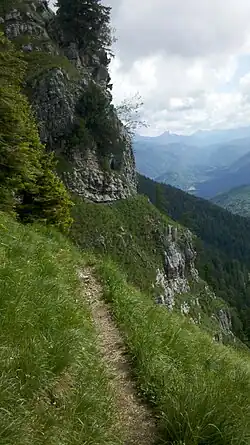 Pürschschneid, Steig an der Südseite