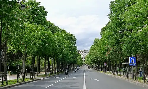 Abschnitt mit Alleebäumen