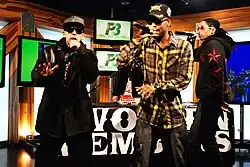 Swollen Members, Livekonzert (2010)