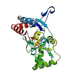 Glutamate receptor, ionotropic, AMPA 2