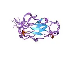 Mite group 2 allergen Der p 2