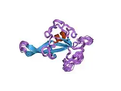 α-Sarcin (Aspergillus giganteus)