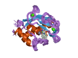 Matrix-Metallopeptidase 20