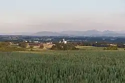 Blick auf Schwanenstadt