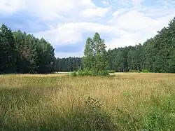 Landschaftsschutzpark Brodnicki in der Umgebung von Zbiczno-See und der Ortschaft Rytebłota