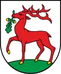 Wappen von Dobre Miasto