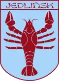 Wappen von Jedlińsk