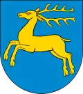 Wappen von Kozienice