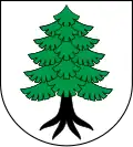 Wappen von Myszyniec