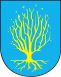 Wappen von Orzesze