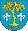 Wappen der Gmina Dębowiec