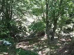 Forst am Croce di Pruno