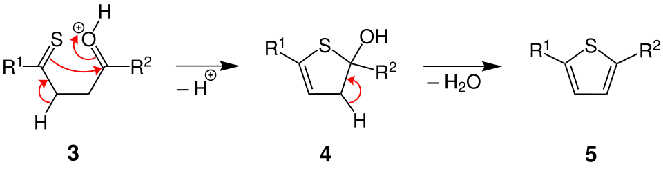Mechanismus der Thiophen-Synthese (Teil 2)