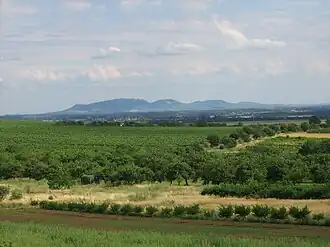 Mikulovská vrchovina von Norden