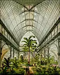 Palmenhaus 1883, mit „Maria-Theresien-Palme“.