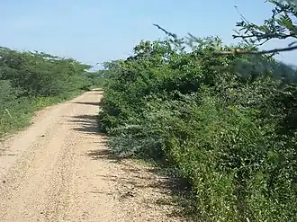 Landschaft bei Palmar de Varela