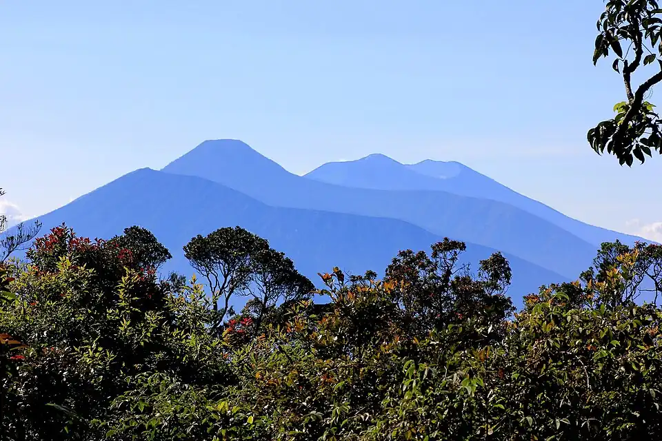 Blick von Westen aus dem Nationalpark Gunung Halimun. Im Bereich des Gebirges wurden die Entfernungen durch abgeschwächte Farben verdeutlicht. Am dunkelsten und damit am nächsten liegend sieht man den bogenförmigen nordwestlichen Kraterrand des erloschenen Pangrango (Junghuhn: G. Panggerango). Dahinter, in der Mitte, erhebt sich der Mandalawangi, mit 3019 Meter der höchste Gipfel des Massivs, mit dem südlichen Kraterrand des Pangrango (Junghuhn: G. Sela). Im Hintergrund erkennt man die Rückseite des aktiven Vulkans Gedé mit dem alten Kraterboden Alun Alun. Zum besseren Verständnis dieses Vulkanmassivs wird empfohlen, diese Ansicht mit der Karte „Gede“ zu vergleichen. Den Blick vom Gipfel des Mandalawangi auf den aktiven Krater des Gedé hat Junghuhn in seinem „Java-Album“ dargestellt: Siehe im Kapitel Java, seine Gestalt, Pflanzendecke und innere Bauart die farbig lithographierte Ansicht „Gunung-Gede“.