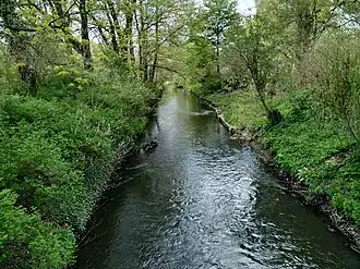 Panke vom Parksteg abwärts