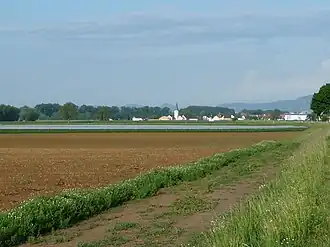 Gäu im Bereich von Altdorf