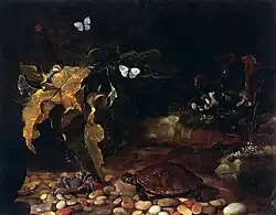 Paolo Porpora: Sottobosco mit Krebs und Schildkröte, um 1652, Musée-des-Beaux-Arts, Nancy