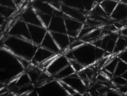 Polarisation-Mikroskopie Kontrast wird durch Drehung polarisierten Lichts in der Probe erzeugt.