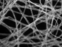 Dunkelfeld-Mikroskopie Kontrast wird durch das im Objekt gestreute Licht erzeugt.