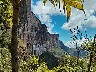Die steile Felswand des Roraima-Tepui