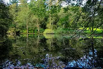 Teich im Park