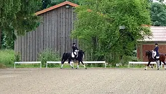 spiegelbildliches Element