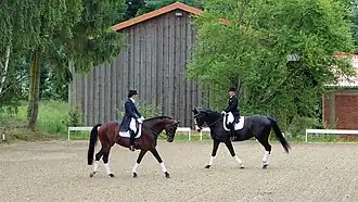 spiegelbildliches Element