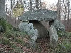 Dolmen Afd. 215