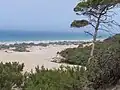 Die moderne Küstenlinie am Strand von Patara
