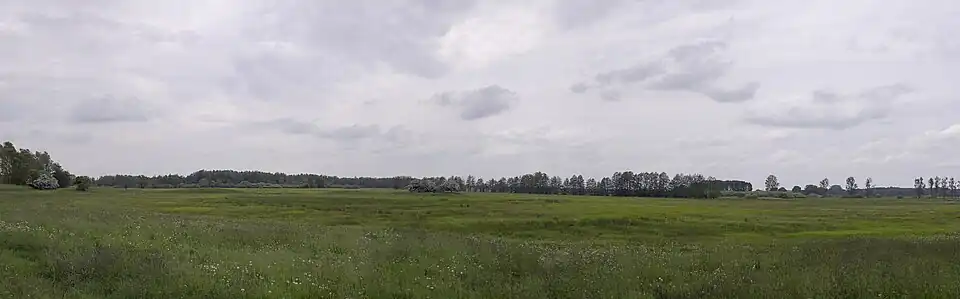 Peenewiesen bei Trantow