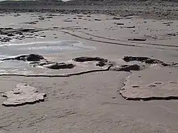 Geologisches, paläontologisches und archäologisches Provinzialreservat Pehuen-Có - Monte Hermoso