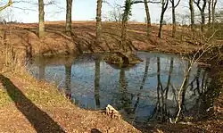 Der Teich außerhalb der Vegetationszeit