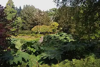 Sumpfgarten auf der untersten Ebene des Walled Garden