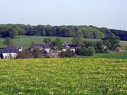 Blick aus Nordwest auf Peppinghausen