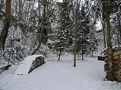 Zeitlingerbruch. Winter 2017