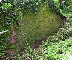 Kleiner Bruch. Haurillen