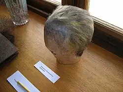 Eine Echthaar-Perücke aus der Burgtheater-Werkstatt