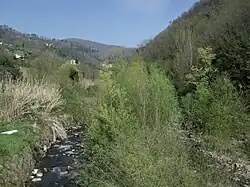 Der Fluss Pescia di Collodi (auch Pescia minore genannt)