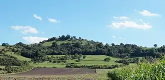 Der Petersberg von Norden