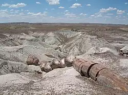 Petrified-Forest-Nationalpark