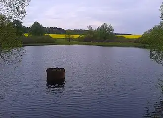 Fauler Pfützenteich