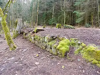 Ruine des Schlosses Schaudichnichtum am Nordhang