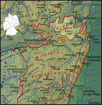 Stumpfwald (hell) innerhalb des Pfälzerwalds