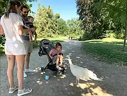 Familienausflug auf der Pfaueninsel