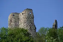 Ruine Pfeffingen