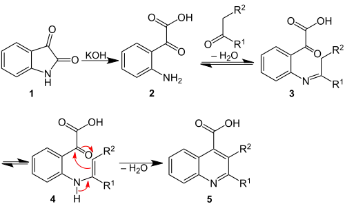 Reaktionsmechanismus der Pfitzinger-Reaktion