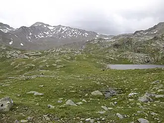 Pfroslkopf von Norden